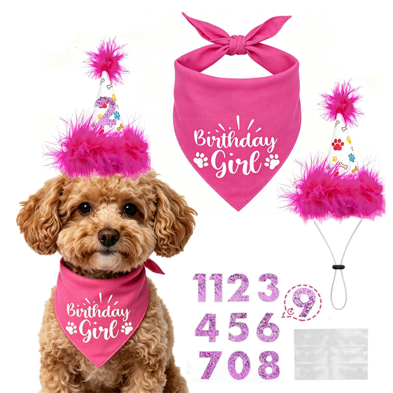Pet Supplies In Bulk - Hunde-Geburtstagsparty-Set: Bandana, Rock, Hut, Fliege, Ballon