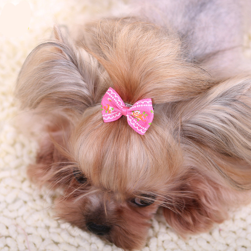 Pet Supplies York - Neue Haarnadel für Hunde Kätzchen Welpen