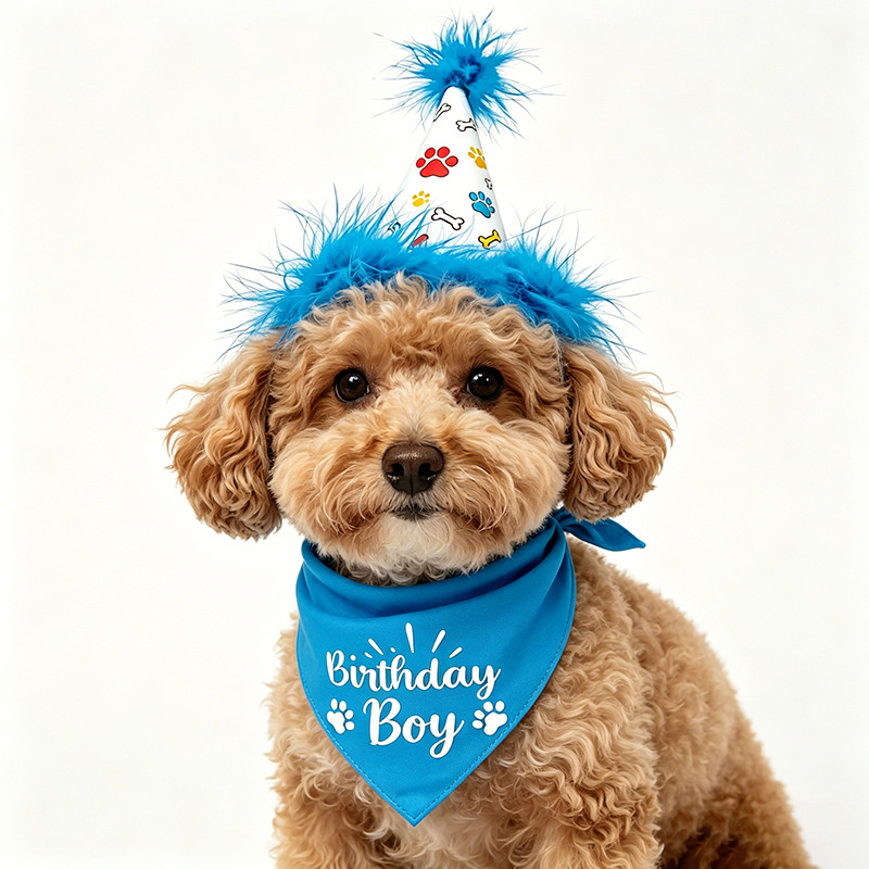 Hunde-Geburtstagsparty-Set: Ba – Pet Supplies In Bulk Bewertung und Preis