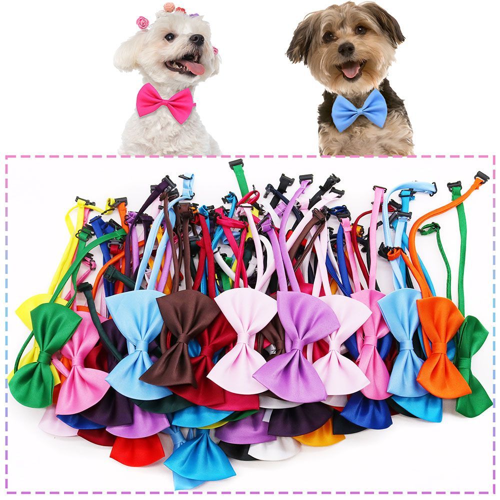Verstellbare Modische Hundesch – Pet Supplies In Bulk Bewertung und Preis
