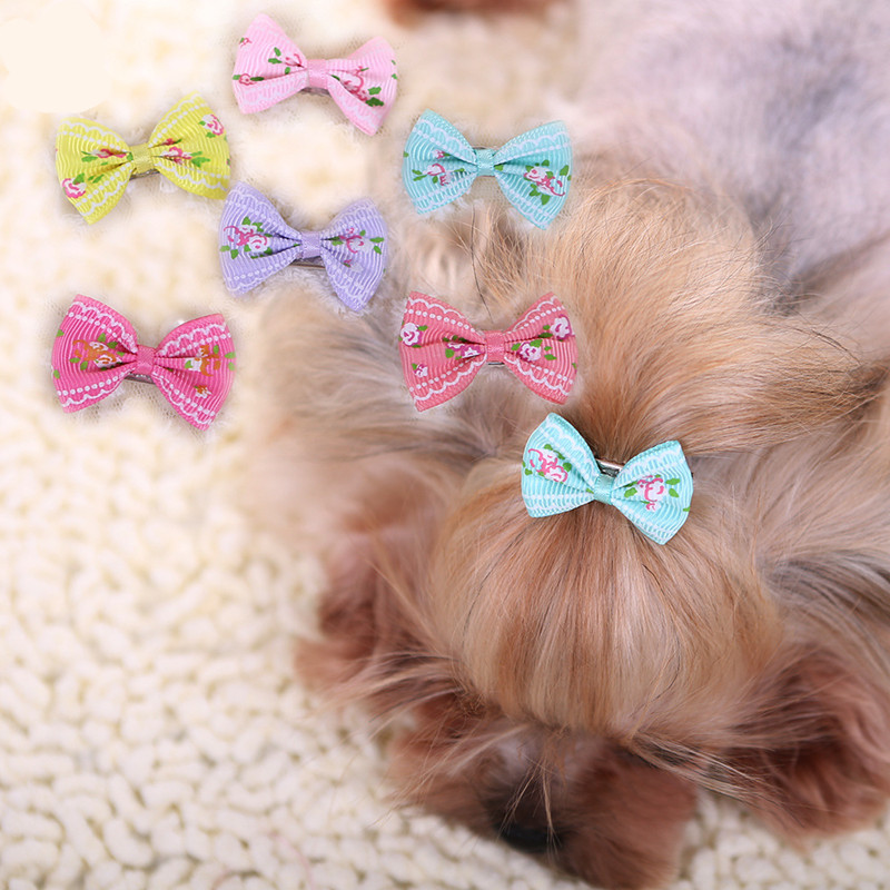 Neue Haarnadel für Hunde Kätzc – Pet Supplies York Bewertung und Preis
