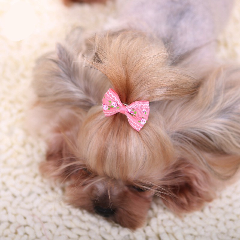 Neue Haarnadel für Hunde Kätzc – Pet Supplies York Bewertung und Preis