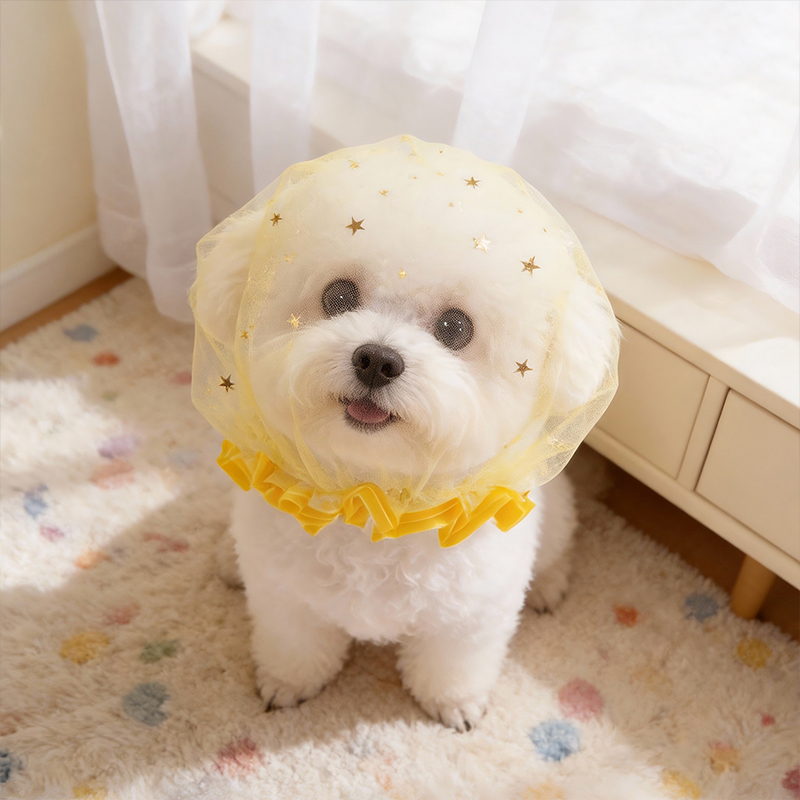 Anti-Bell Sommer-Hundekappe fü – Pet Supplies York Bewertung und Preis
