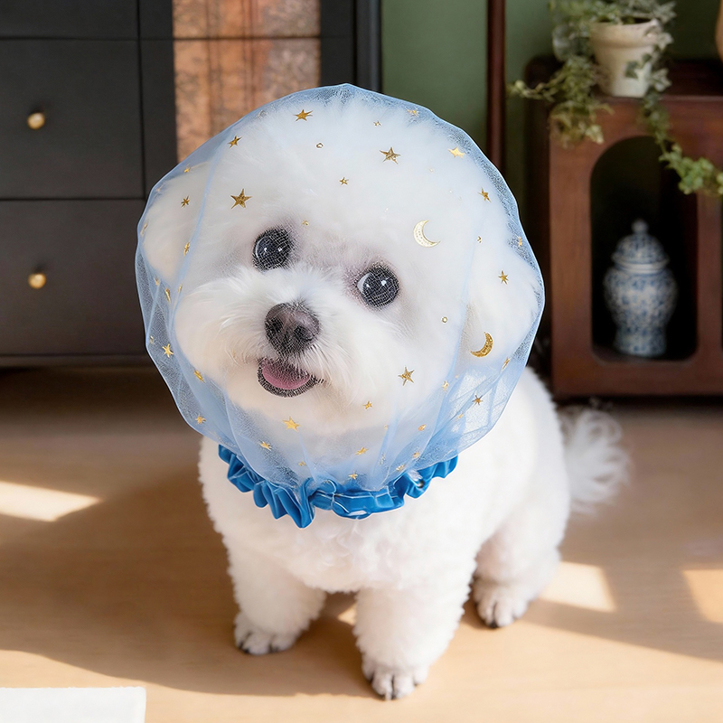 Anti-Bell Sommer-Hundekappe fü – Pet Supplies York Bewertung und Preis