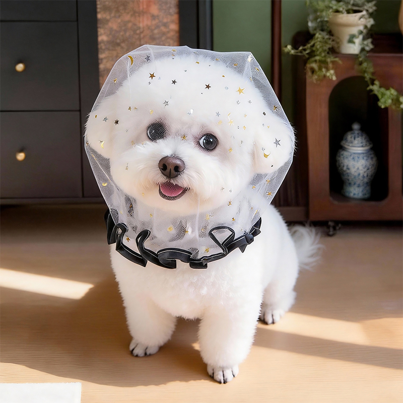 Anti-Bell Sommer-Hundekappe fü – Pet Supplies York Bewertung und Preis