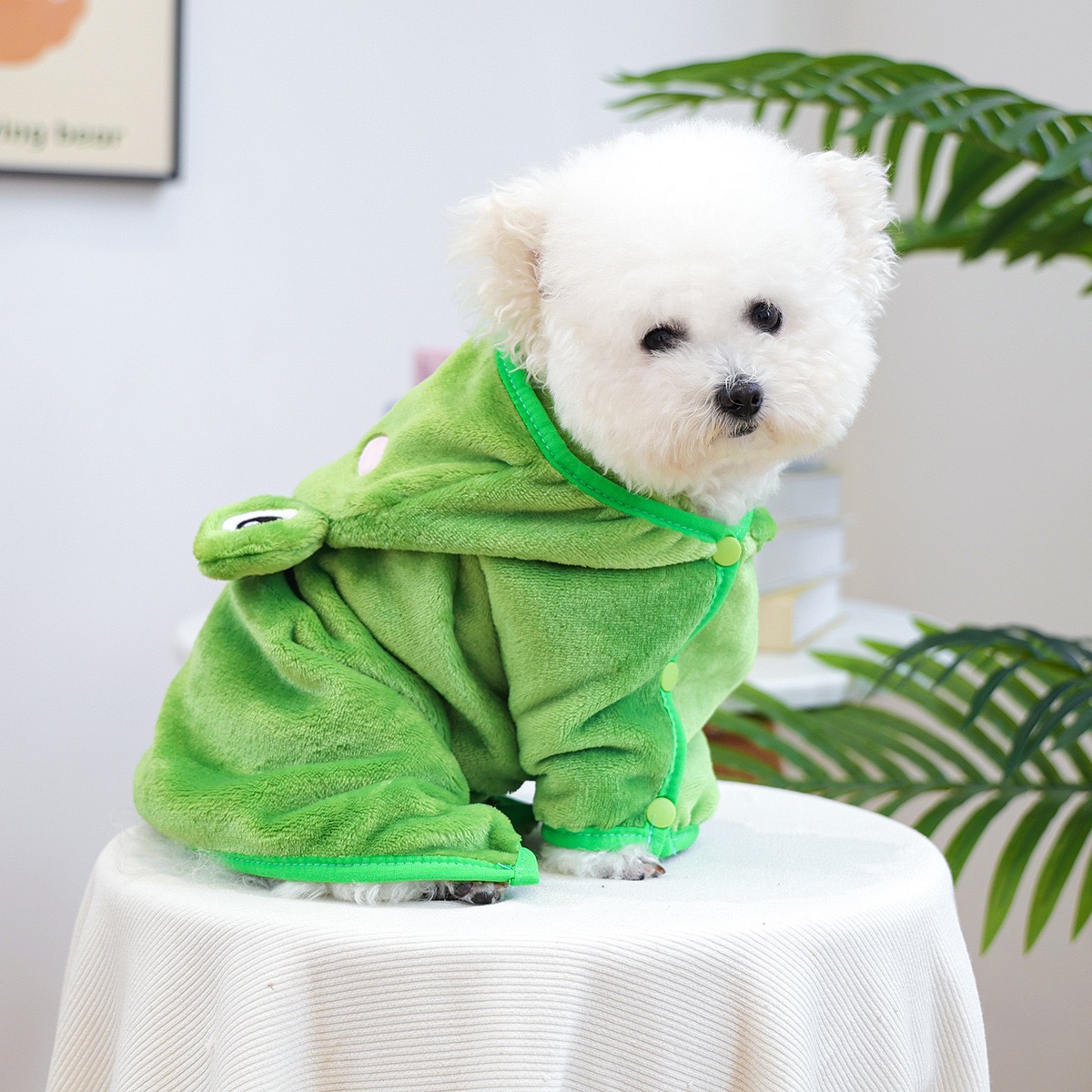 Froschmütze, einteiliger Hunde – Pet Supplies York Bewertung und Preis