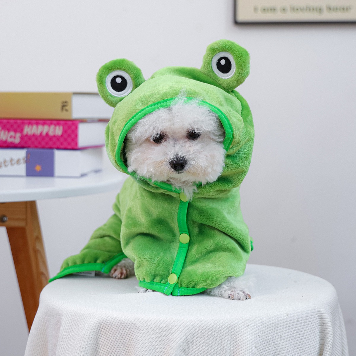 Froschmütze, einteiliger Hunde – Pet Supplies York Bewertung und Preis