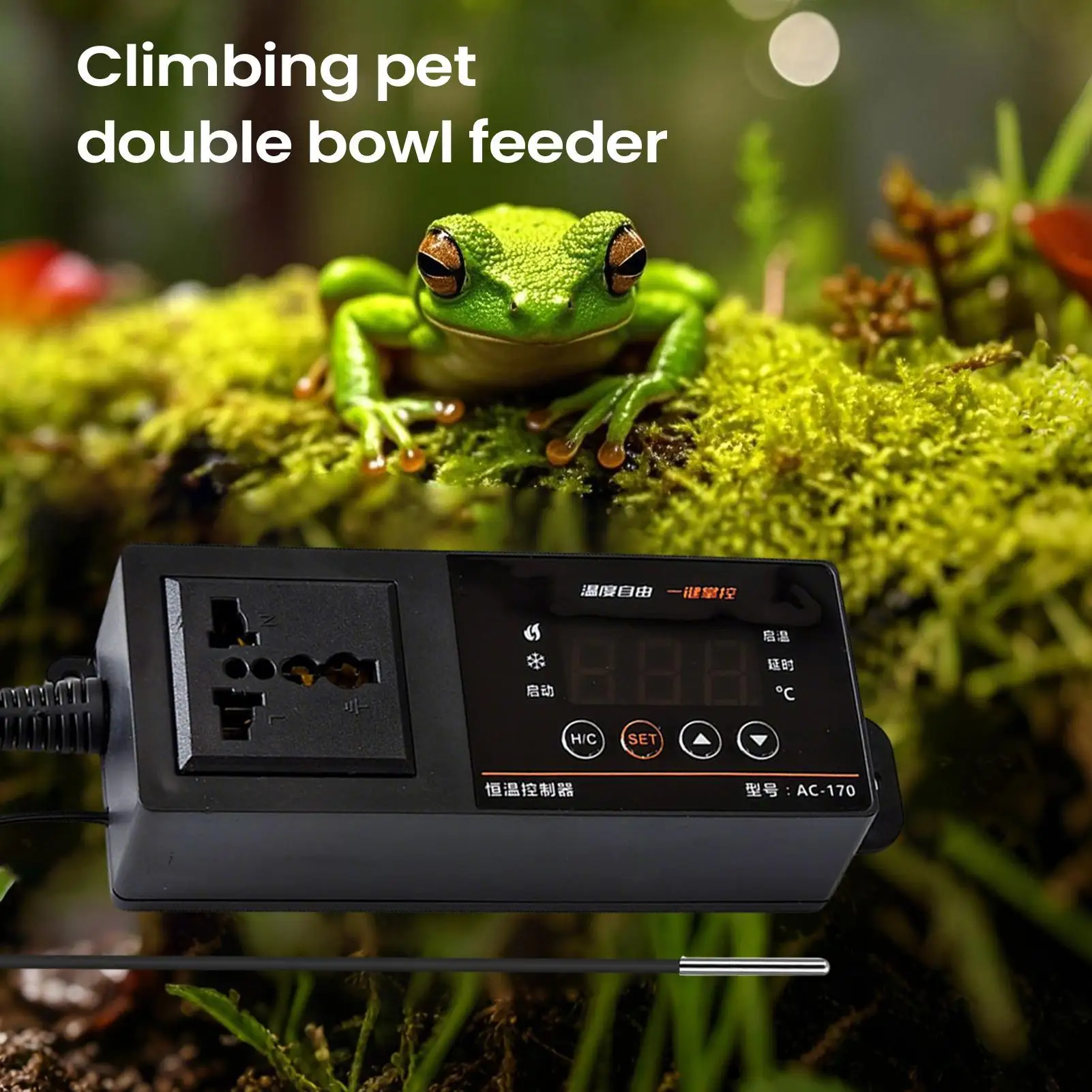Thermostat für Reptilien-Terra – Pet Supplies In Uk Bewertung und Preis