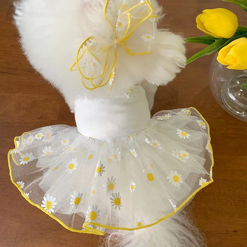 Niedliches Hundekleid für Klei – Pet Supplies York Bewertung und Preis