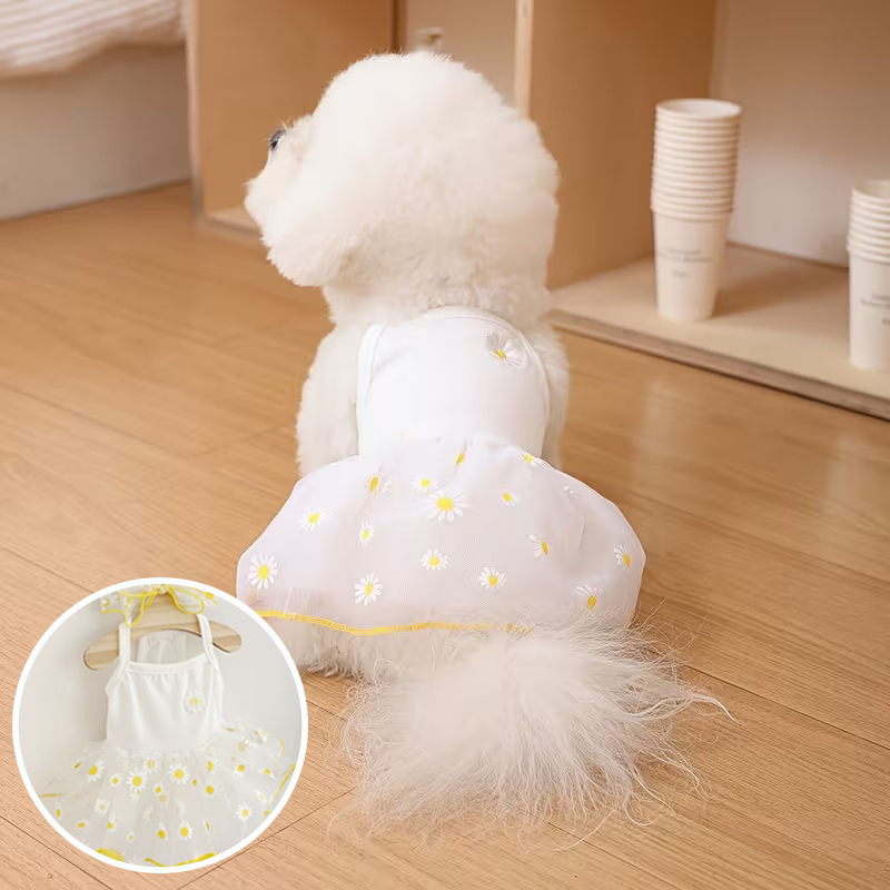 Sommerlicher dünner Prinzessin – Pet Supplies York Bewertung und Preis