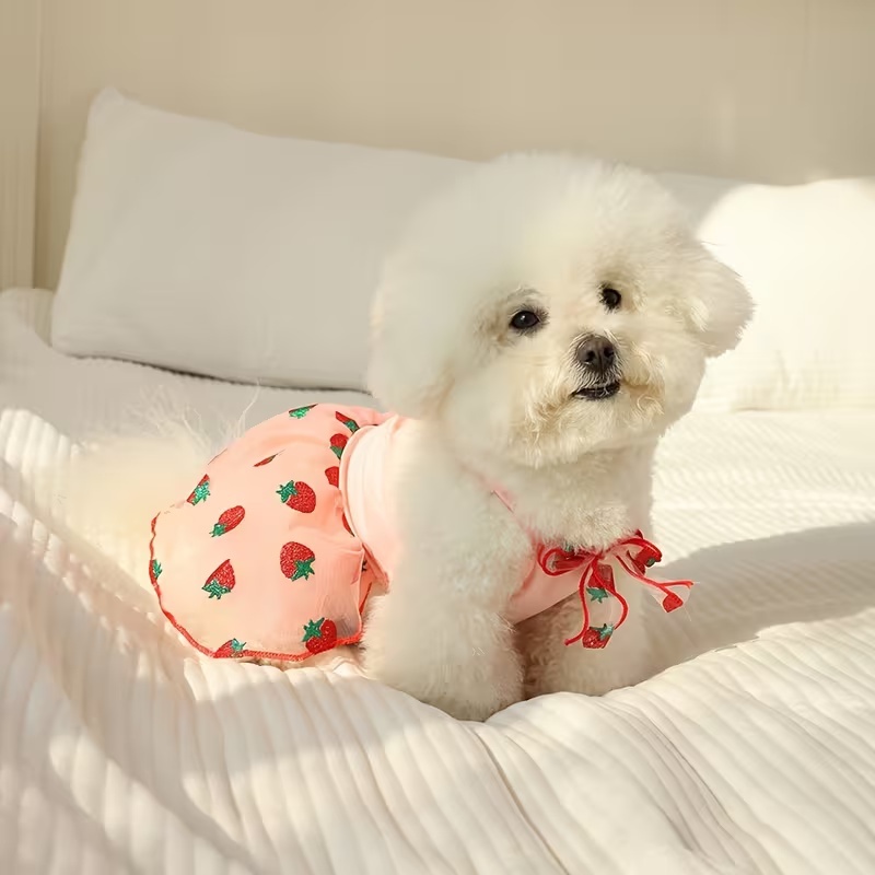 Sommer dünne Welpen Prinzessin – Pet Supplies York Bewertung und Preis