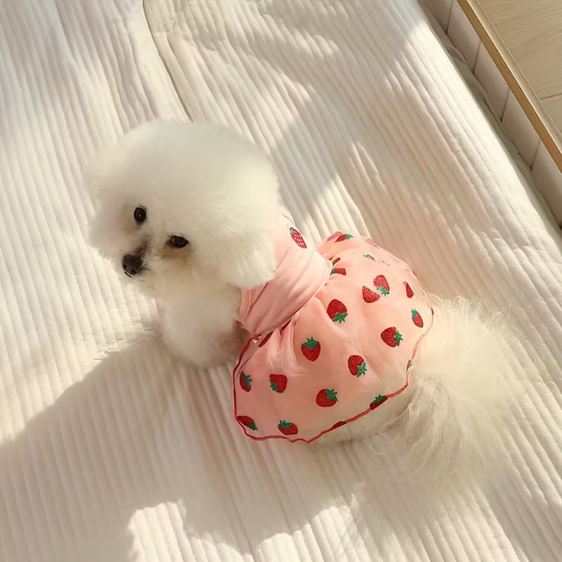 Sommer dünne Welpen Prinzessin – Pet Supplies York Bewertung und Preis