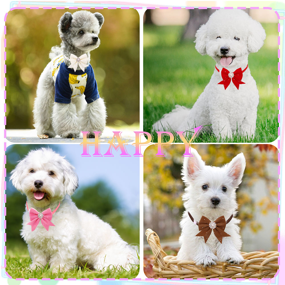8PCS Hund Kragen Floral Band D – Pet Supplies In Bulk Bewertung und Preis