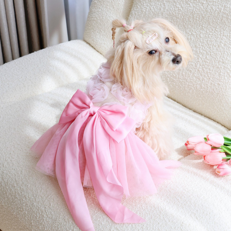 Frühling Sommer Dünner Prinzes – Pet Supplies York Bewertung und Preis