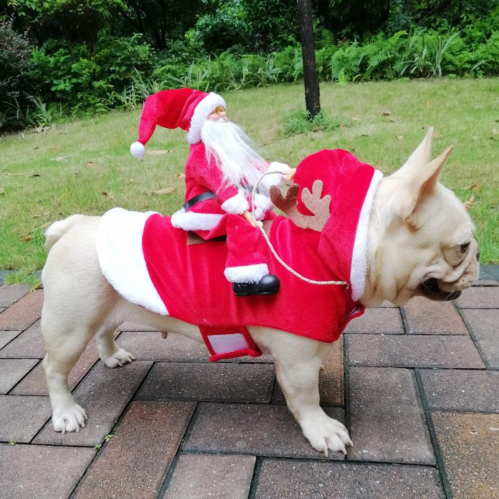 Winter Frohes Neues Jahr Haust – Pet Supplies York Bewertung und Preis