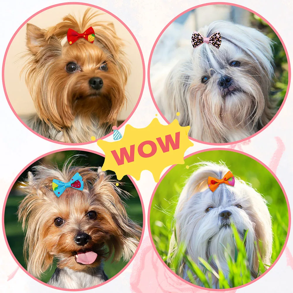 50 Stück Hundebögen mit Gummib – Pet Supplies In Bulk Bewertung und Preis